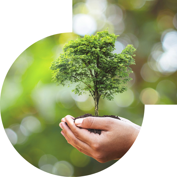 关怀人类、文化、环境与社会